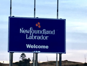 Newfoundland #1